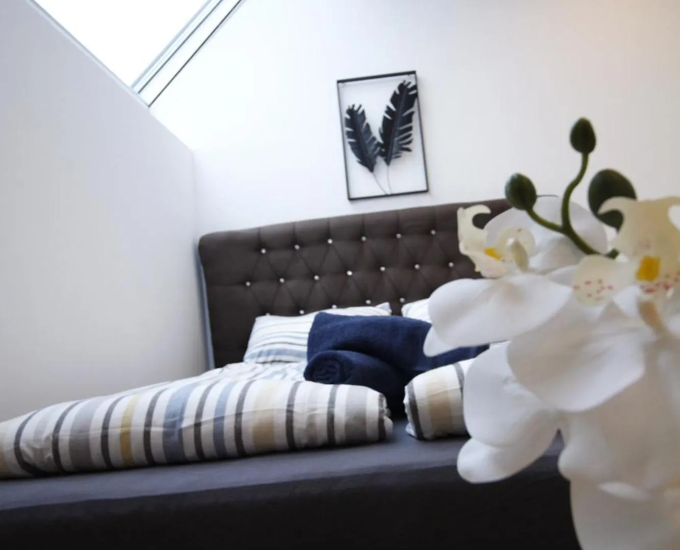 Homestay Premium Apartment Dw 16 Vienna Austria