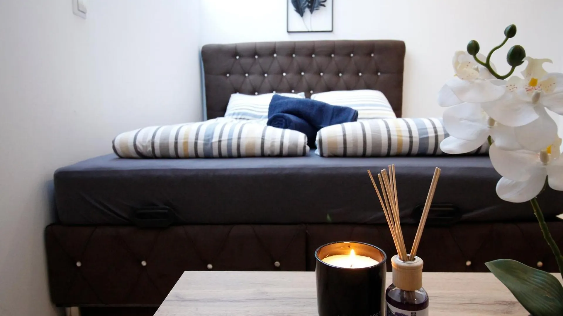 Homestay Premium Apartment Dw 16 Vienna